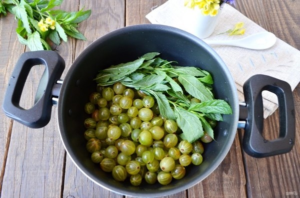 ด้วยมิ้นต์