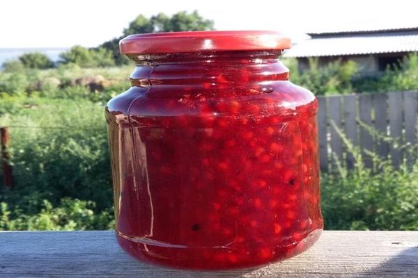 confiture de mûres pour l'hiver