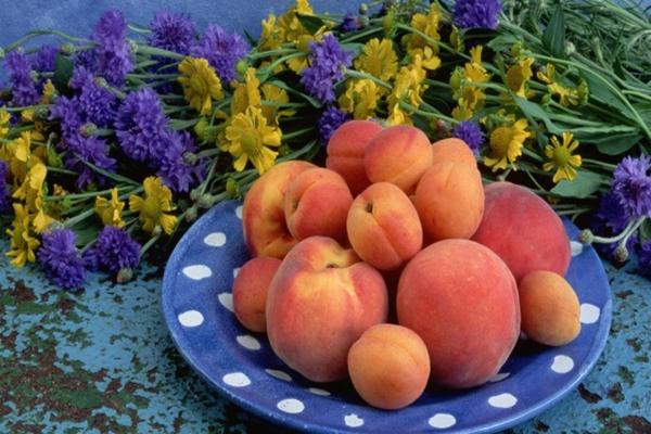 confiture d'abricots et de pêches