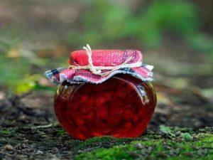 4 สูตรง่ายๆ สำหรับทำแยมคลาวด์เบอร์รี่สำหรับฤดูหนาว