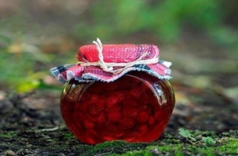 แยมคลาวด์เบอร์รี่สำหรับฤดูหนาว