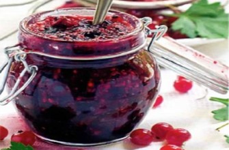 แยมลูกเกดไร้น้ำตาลสำหรับหน้าหนาว