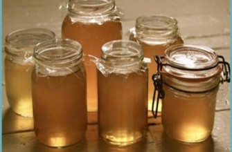 แยมลูกเกดขาว 5 นาทีสำหรับฤดูหนาว