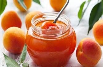 สูตรไร้เมล็ด