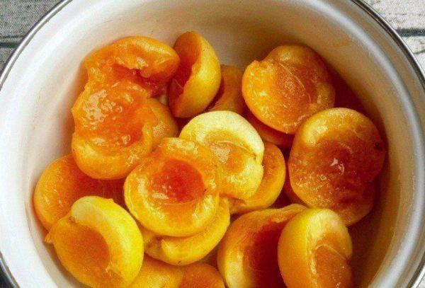 แอปริคอตสุก