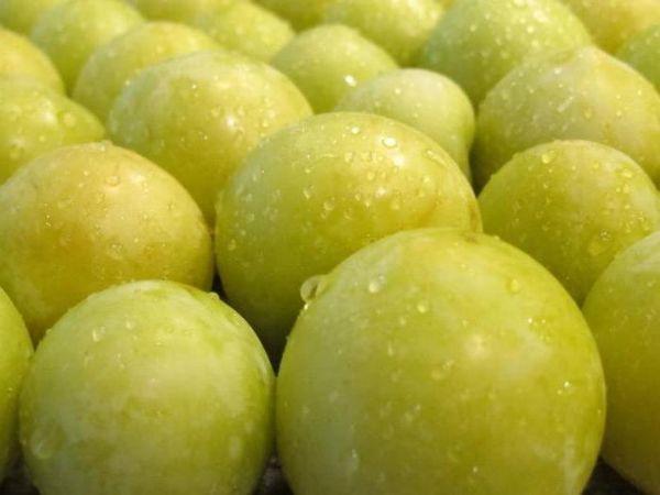 เชอร์รี่พลัมสด