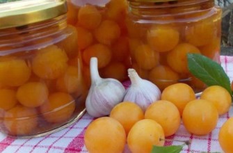 การดองลูกพลัมเชอร์รี่