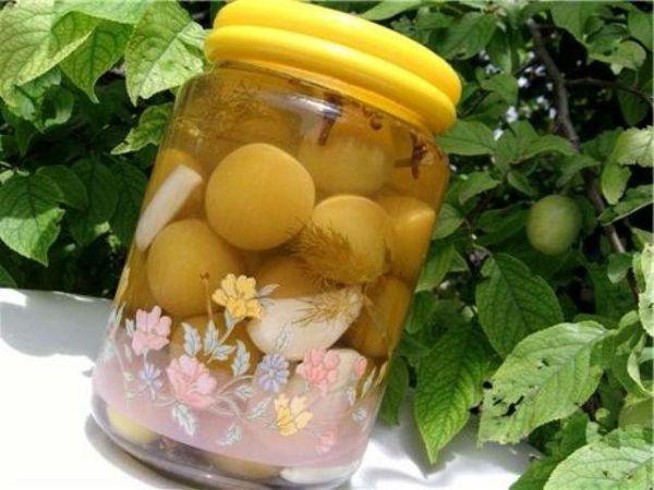 10 สูตรง่ายๆ สำหรับทำเชอร์รี่พลัมดองที่บ้านสำหรับฤดูหนาว