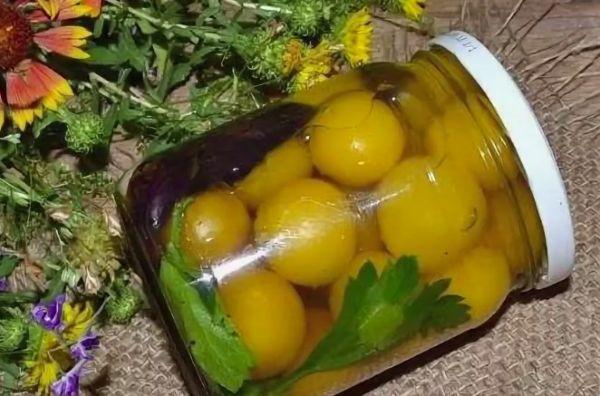 การเก็บเกี่ยวลูกพลัมเชอร์รี่