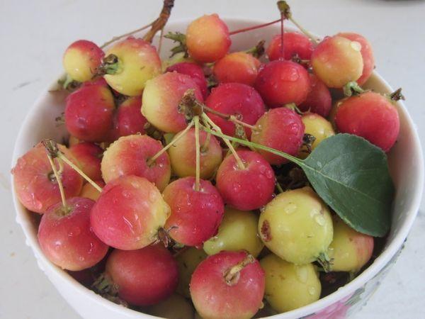 แอปเปิ้ลลูกเล็ก