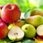 แอปเปิ้ลกับลูกแพร์