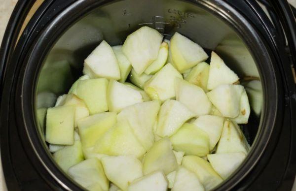 fruits dans une mijoteuse