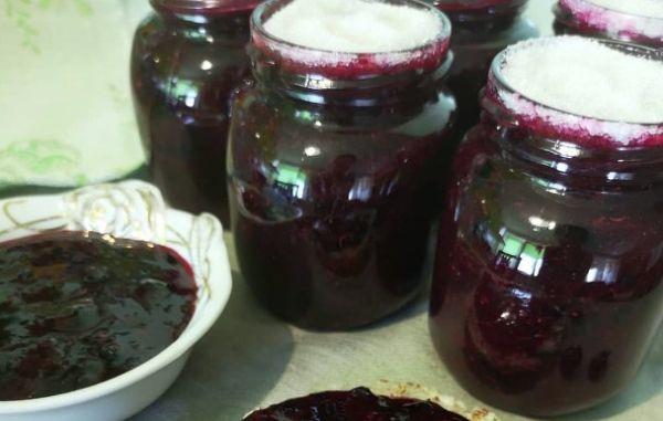 แบล็กเบอร์รี่สำหรับฤดูหนาว