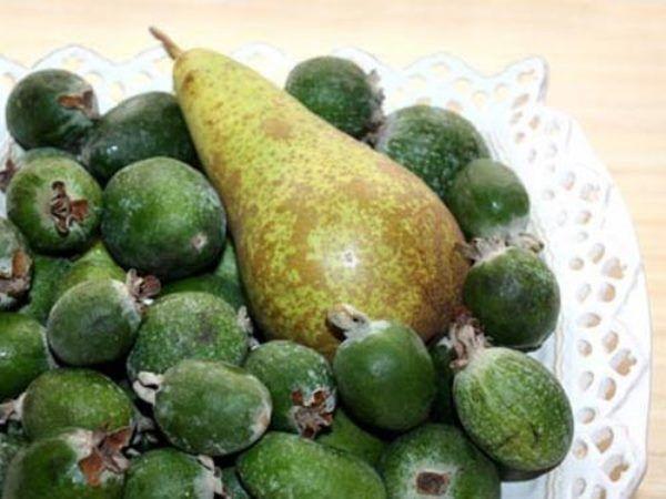 feijoa à la poire