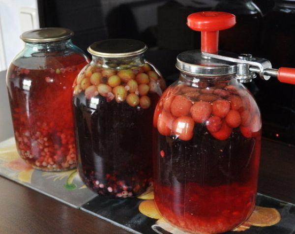 ผลไม้แช่อิ่มสำหรับฤดูหนาว