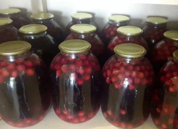 ผลไม้แช่อิ่มพองตัว