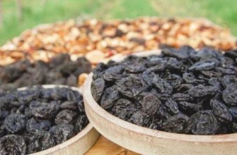 การตากแดด