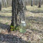 การเก็บน้ำผลไม้