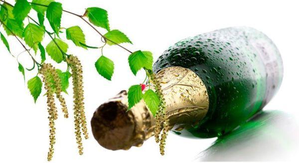 แชมเปญน้ำเบิร์ช