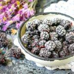 เบอร์รี่แช่แข็ง