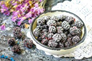 3 วิธีที่ดีที่สุดในการแช่แข็งแบล็กเบอร์รี่สำหรับฤดูหนาว