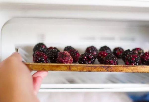 การแช่แข็งผลเบอร์รี่