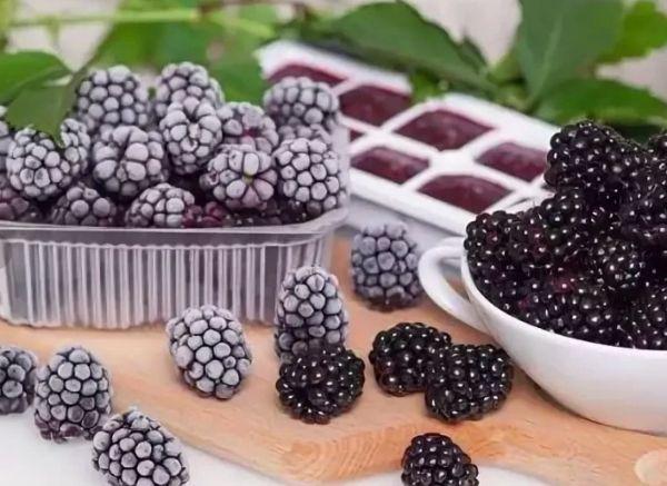 เบอร์รี่สำหรับแช่แข็ง