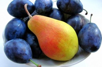 ลูกแพร์และลูกพลัม