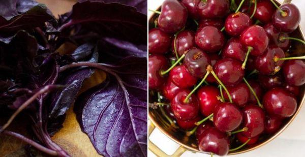 เชอร์รี่และโหระพา