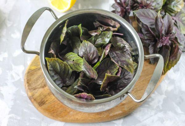 โหระพาเผ็ด