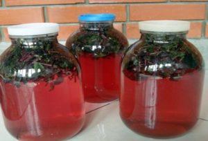 8 สูตรเด็ดทำคอมโพทโหระพาสำหรับหน้าหนาว