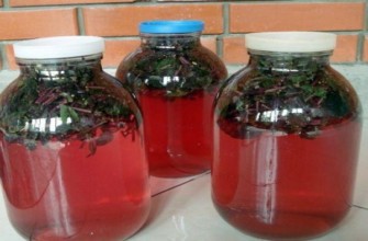 โถใส่ผลไม้แช่อิ่ม