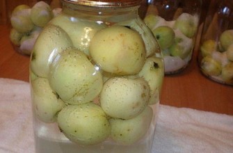 ผลไม้รวมจากแอปเปิ้ลทั้งลูก