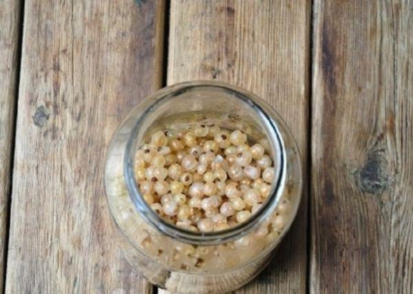 ลูกเกดในขวด