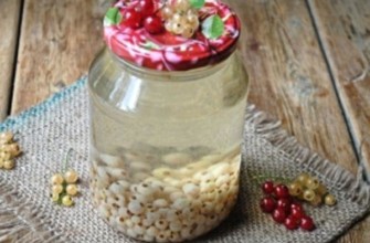 ผลไม้แช่อิ่มในขวด