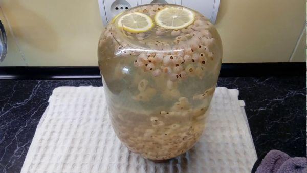 ลูกเกดกับมะนาว