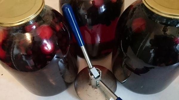 โช๊คเบอร์รี่มีหนาม