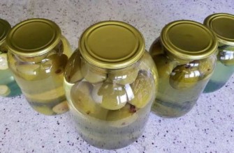 ผลไม้แช่อิ่มสำหรับฤดูหนาว