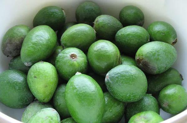 เฟยโจอาสีเขียว