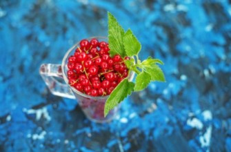 ลูกเกดและสะระแหน่