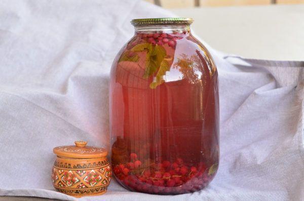 groseille et mélisse