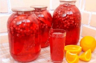 ผลไม้แช่อิ่มสำหรับฤดูหนาว