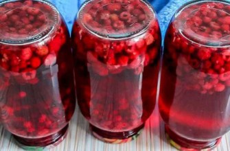 คอมโพทลูกเกดและราสเบอร์รี่