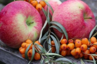 ซีบัคธอร์นและแอปเปิ้ล