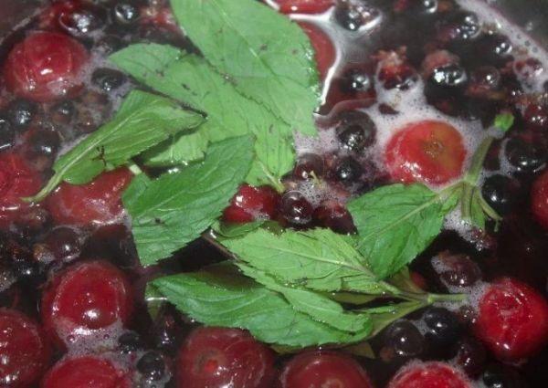 ผลไม้แช่อิ่มผสมสะระแหน่