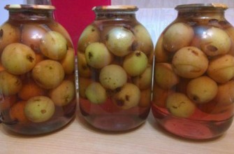 แอปเปิ้ลคอมโพท