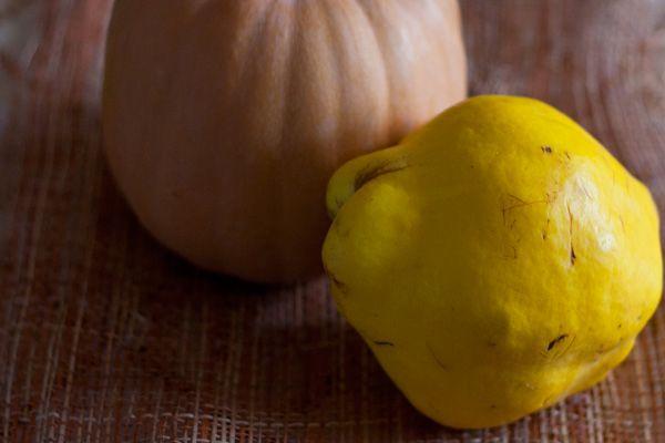 ฟักทองและควินซ์