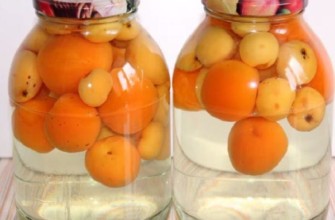 เครื่องดื่มผลไม้