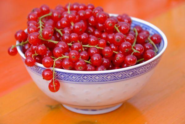 ลูกเกดแดง