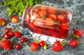 เบอร์รี่คอมโพท